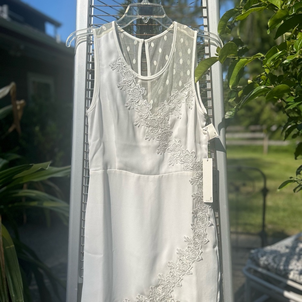 Line & Dot White Lace Accent Dress